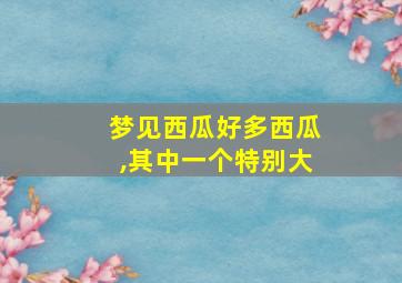 梦见西瓜好多西瓜,其中一个特别大