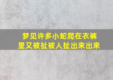 梦见许多小蛇爬在衣裤里又被扯被人扯出来出来