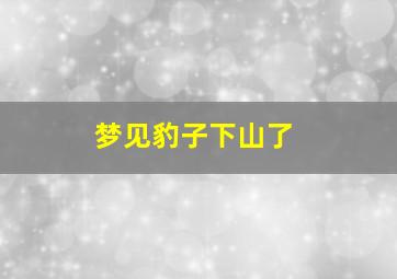 梦见豹子下山了