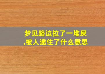 梦见路边拉了一堆屎,被人逮住了什么意思