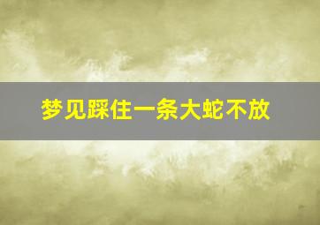 梦见踩住一条大蛇不放