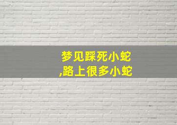 梦见踩死小蛇,路上很多小蛇