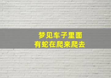 梦见车子里面有蛇在爬来爬去