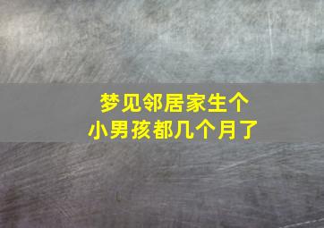 梦见邻居家生个小男孩都几个月了