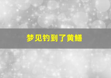 梦见钓到了黄鳝