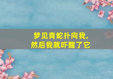 梦见青蛇扑向我,然后我就吓醒了它