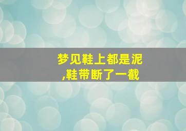 梦见鞋上都是泥,鞋带断了一截