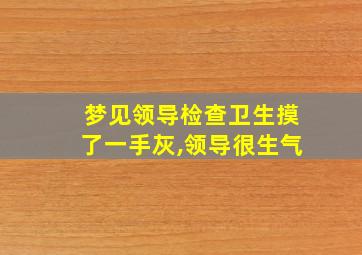 梦见领导检查卫生摸了一手灰,领导很生气