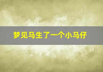 梦见马生了一个小马仔