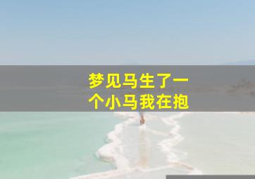 梦见马生了一个小马我在抱