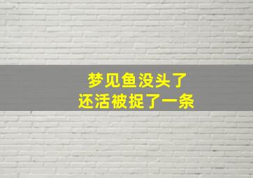 梦见鱼没头了还活被捉了一条