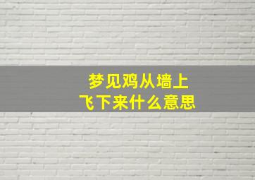 梦见鸡从墙上飞下来什么意思