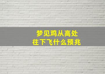 梦见鸡从高处往下飞什么预兆