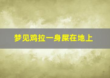 梦见鸡拉一身屎在地上