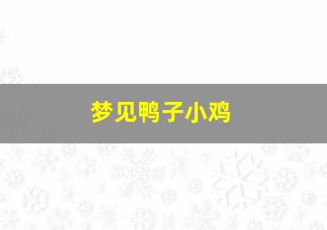 梦见鸭子小鸡