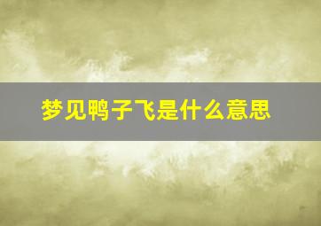 梦见鸭子飞是什么意思