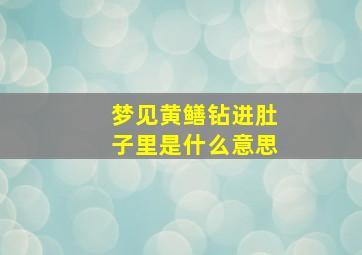 梦见黄鳝钻进肚子里是什么意思