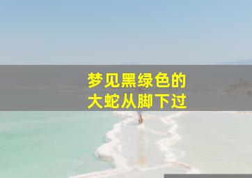 梦见黑绿色的大蛇从脚下过