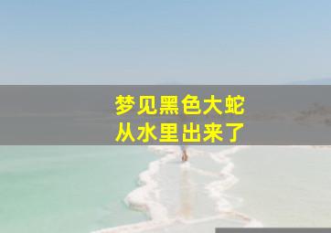 梦见黑色大蛇从水里出来了