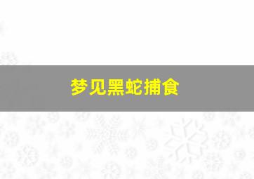 梦见黑蛇捕食