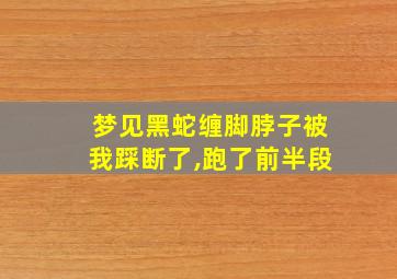 梦见黑蛇缠脚脖子被我踩断了,跑了前半段