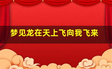 梦见龙在天上飞向我飞来