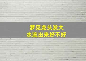 梦见龙头发大水流出来好不好