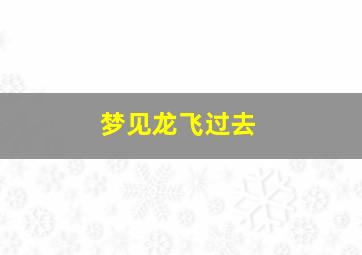 梦见龙飞过去