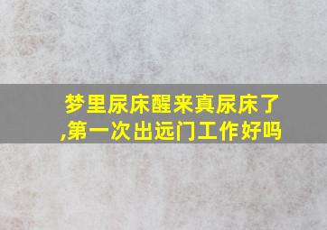 梦里尿床醒来真尿床了,第一次出远门工作好吗