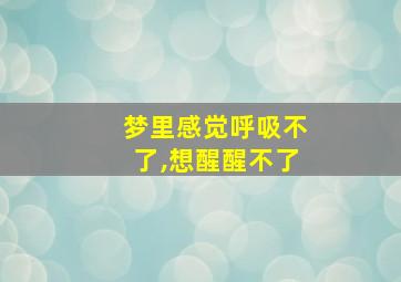 梦里感觉呼吸不了,想醒醒不了