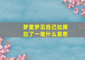 梦里梦见自己拉屎拉了一堆什么意思