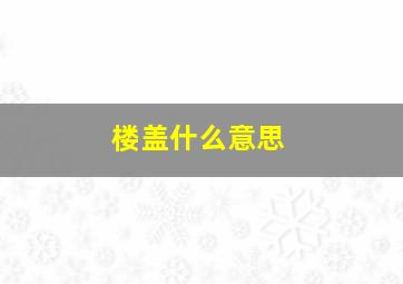 楼盖什么意思