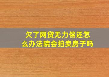 欠了网贷无力偿还怎么办法院会拍卖房子吗