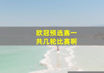 欧冠预选赛一共几轮比赛啊