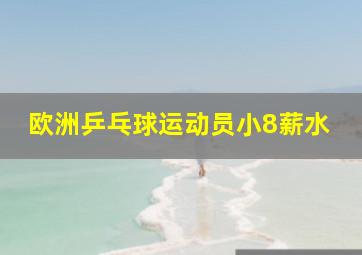 欧洲乒乓球运动员小8薪水