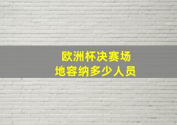 欧洲杯决赛场地容纳多少人员