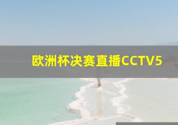 欧洲杯决赛直播CCTV5