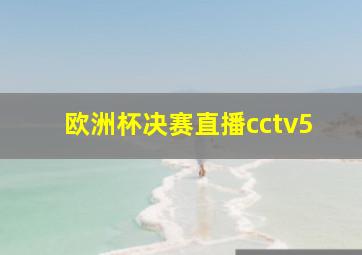 欧洲杯决赛直播cctv5