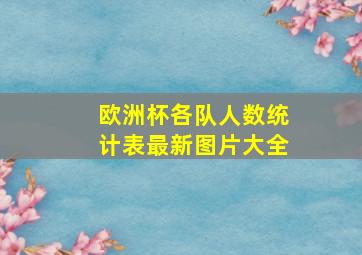 欧洲杯各队人数统计表最新图片大全