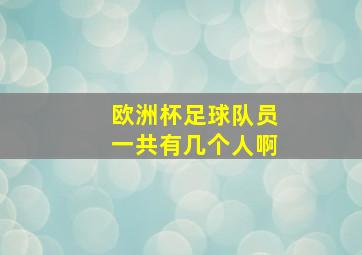 欧洲杯足球队员一共有几个人啊