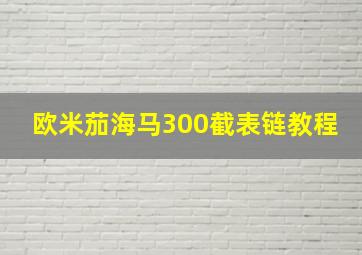 欧米茄海马300截表链教程