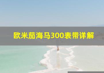 欧米茄海马300表带详解