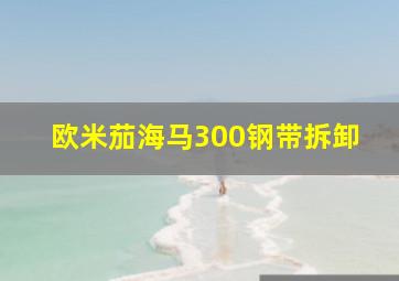 欧米茄海马300钢带拆卸