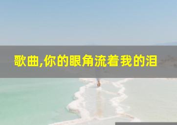 歌曲,你的眼角流着我的泪