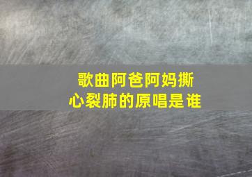 歌曲阿爸阿妈撕心裂肺的原唱是谁