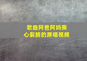 歌曲阿爸阿妈撕心裂肺的原唱视频