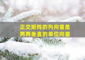 正交矩阵的列向量是两两垂直的单位向量