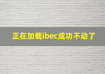 正在加载ibec成功不动了