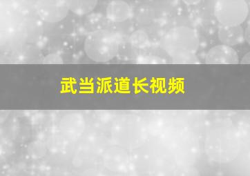 武当派道长视频