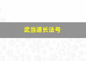 武当道长法号